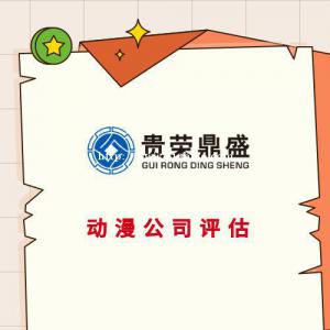 成都市知识产权证券化知识产权质押评估
