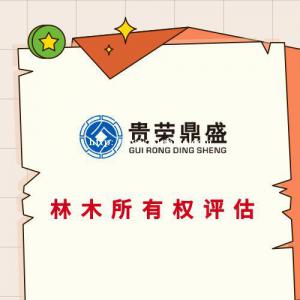 成都市锦江区企业技术出资评估知识产权评估专利出资评估