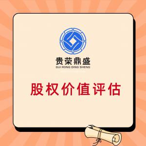 成都市金牛区股权拍卖资产评估股权价值评估分析